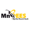 MnBees Médenine - Djerba Houmt Souk