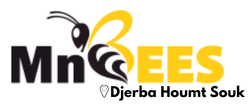 MnBees Médenine - Djerba Houmt Souk